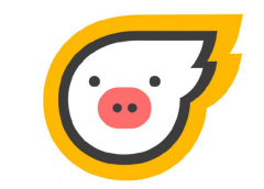 飞猪在庄卓然带领下，助力合作伙伴跨越数字化转型之河